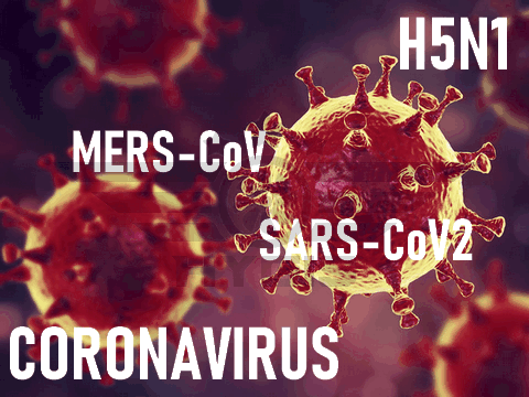 entreprise de désiçnfection traitement virus coronavirus covid19