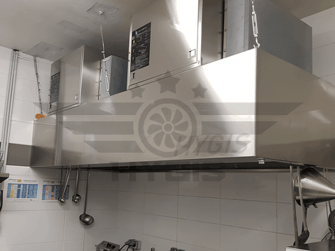 Spatule de nettoyage de cuisine professionnelle en acier