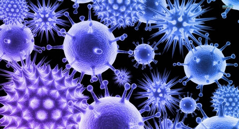 entreprise de désinfection traitement virus coronavirus covid19